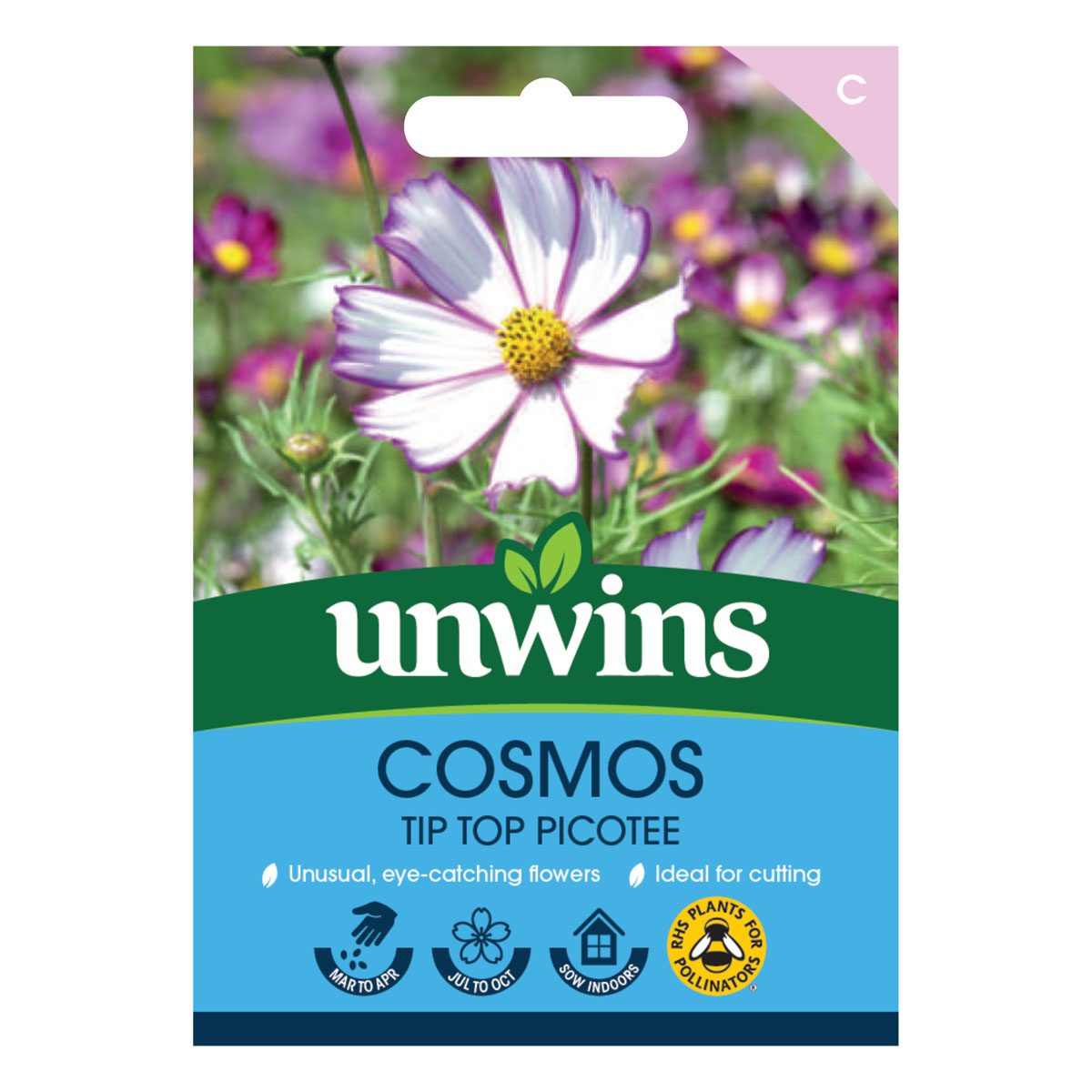 5051618004268 1 Cosmos Tip Top Picotee Seeds.jpg